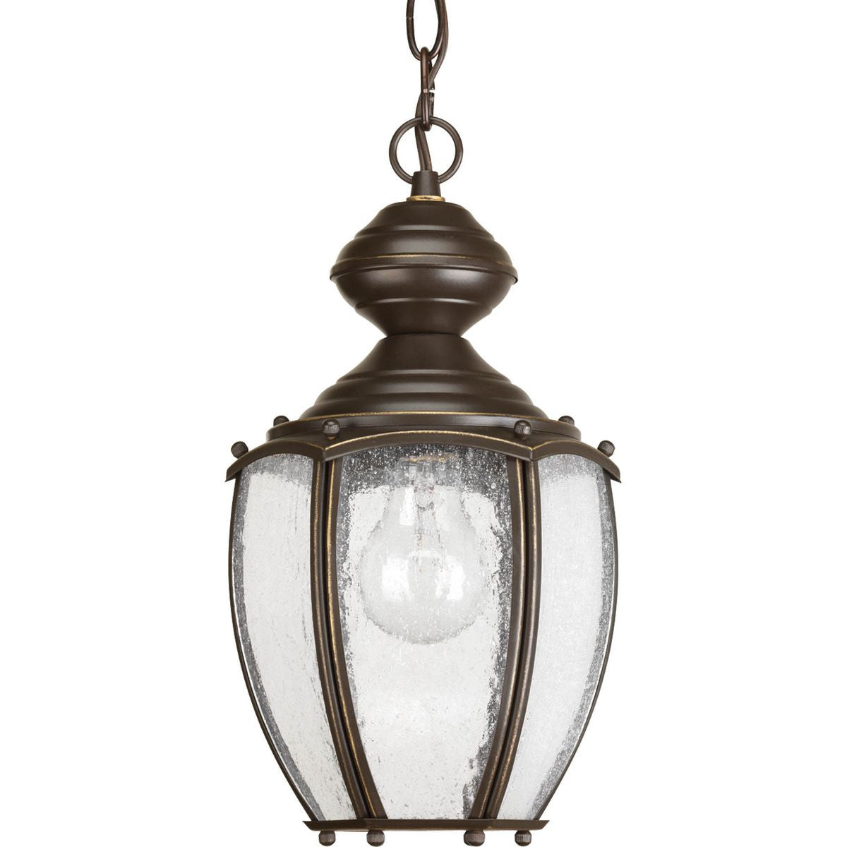 Progress Lighting Outdoor Light - Roman Coach Collection One-Light Hanging Lantern - Model P5565-20