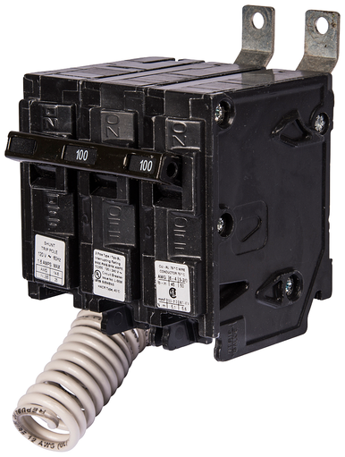 Miniature Circuit Breaker, BL Series, 100A, 2 Pole, 120/240V AC, 10kA at 120/240V AC - B210000S01