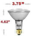 75 Watt Halogen Par30 Long Neck