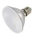 Halogen Par30 Frosted