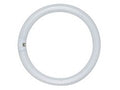 Circline Tube