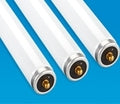 Fluorescent Lamp Applications