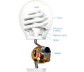 Compact Fluorescent Lamp Components