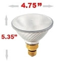 60 Watt Halogen Par38