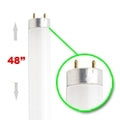 F32T8 (48 In.) 32 Watts
