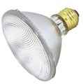 Halogen Par30 Capped
