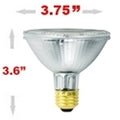 75 Watt Halogen Par30