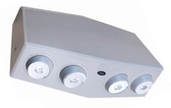 Decorative Emergency Light Fixture