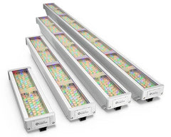 GrazeElite IntelliHue
