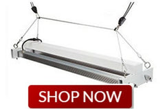 LED Grow Lights