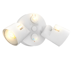Lithonia LED Security Flood
