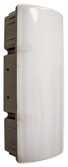 LED Vandal Proof Wall Light