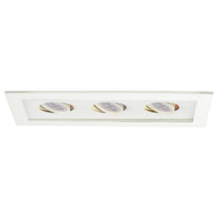 Low Voltage Multiples