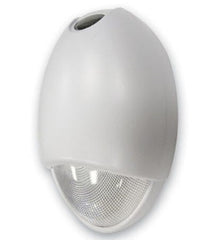 Decorative Outdoor LED AC/Emergency Unit