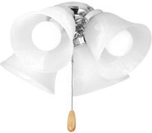 Ceiling Fan Light Kits & Accessories