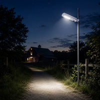 LED Solar Dusk to Dawn Light - 10 Watt - 1000 Lumens - 5000K Daylight - Pole Mount - with Motion Sensor