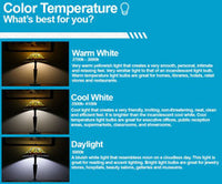 LED PAR30 Longneck Bulb - 10 Watt - 750 Lumens - 5000K Daylight - E26 Medium Base - 120V - Dimmable