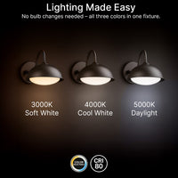 LED Outdoor Gooseneck Wall Lights - Small 12 Watts - 1000 Lumens - 5000K Daylight - 120-277V - Integrated Photocell - Bronze Finish