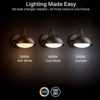 LED Outdoor Gooseneck Wall Lights - Small 12 Watts - 1000 Lumens - 5000K Daylight - 120-277V - Integrated Photocell - Bronze Finish