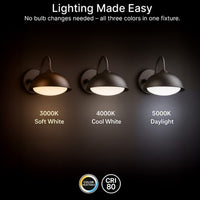 LED Outdoor Gooseneck Wall Lights - Small 12 Watts - 1000 Lumens - 5000K Daylight - 120-277V - Integrated Photocell - Bronze Finish