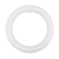 LED Circline FC12T9/CW Retrofit Bulb - 12 inch, 16 Watt, 1600 Lumens, 4000K Cool White - Ballast Bypass
