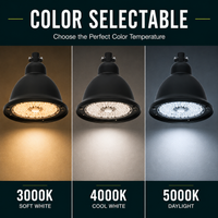 LED Designer Bell Post Light - 16 Inch Diameter - Watt Selectable 100/80/50W - 110-277V - Color Temperature Selectable 30/40/50K - Dimmable - Black Finish - With Straight Arm Wall Bracket - Photocell Included