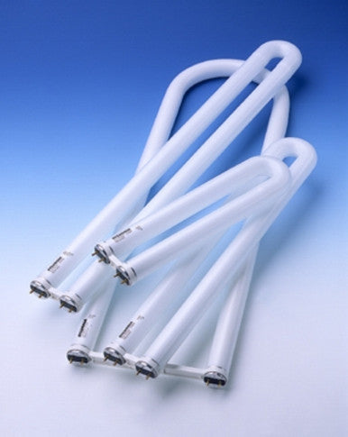 32 Watt Fluorescent U-Shape T8 Bulb, 22.5 In. Long and 6 In. Leg Spacing, 3500K - FBO32/835/6/ECO