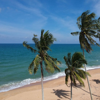 All Expense Paid Vacation To Miami ($2500 Value) - Free With 150,000 Reward Points. Exclusive loyalty program offer only!