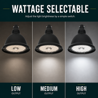 LED Designer Bell Post Light - 16 Inch Diameter - Watt Selectable 100/80/50W - 110-277V - Color Temperature Selectable 30/40/50K - Dimmable - Black Finish - With Double Bell Post Arm Pole Mount & 2 Inch Adapter - Photocell Included