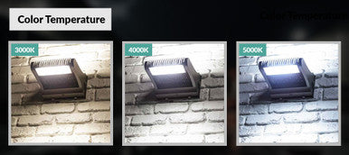 25 Watt LED Rotatable Wallpack - 3375 Lumens - 5000K Daylight - 120-277V - Bronze Finish