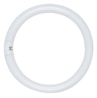 30 Watt Fluorescent T9 Circline 8 In. Light Bulb with 4 Pin (G10Q) Base, 3000K - FC8T9/830/EL