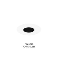 3IN Adjustable Pinhole, Black Specular, White Flangeless, Wet Location Listing