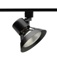 Flared Gimbal 75W PAR30 - R532 BL