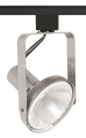 Trac-Master Front Lamping Gimbal PAR30, White