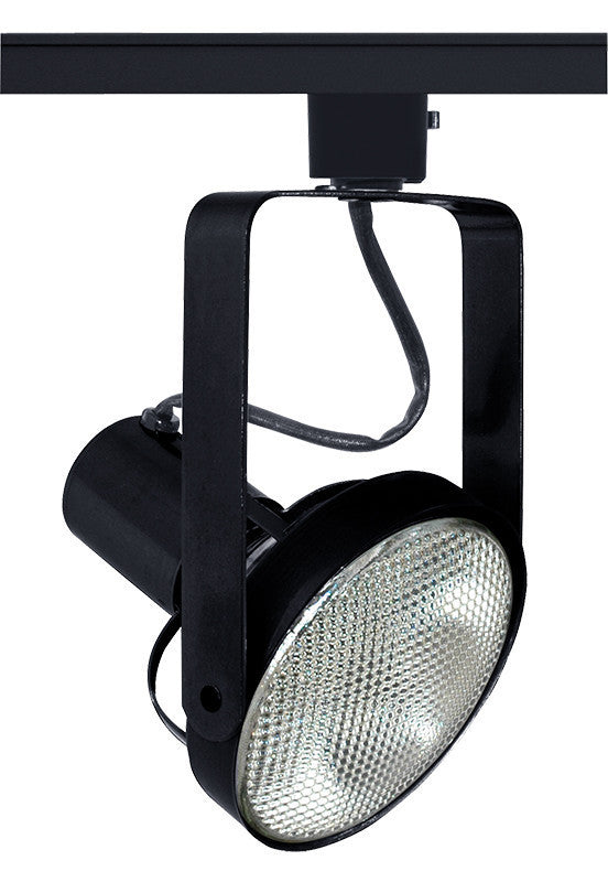 Trac-Master Front Lamping Gimbal PAR38, White