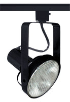 Trac-Master Front Lamping Gimbal PAR38, White