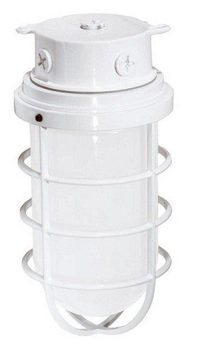 1 Light - 11" - Industrial Style - Surface Mount W/Frosted Glass 709
