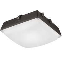 LED Canopy Light, 4500 Lumens, 4000k
