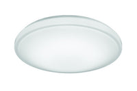Hildon LED Flush Mount for Residential Use Only, 14IN, 80 CRI, 4000K,