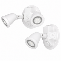 Outdoor Remote Wet Location Die Cast, Single Head, White, 3W LED