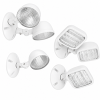 Remote Head, Indoor, 2 Lamp Heads, Wall, Ceiling Mount, 6V, 5.3W, White Housing