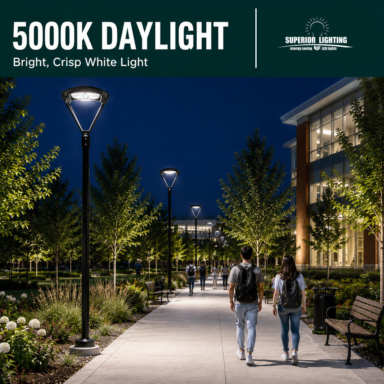 LED Modern Pole Light - 150 Watt - 19500 Lumens - 5000K Daylight - 120-277V - Bronze - Fits Up to 2.5 Inch Pole Top