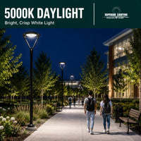 LED Modern Pole Light - 150 Watt - 19500 Lumens - 5000K Daylight - 120-277V - Bronze - Fits Up to 2.5 Inch Pole Top