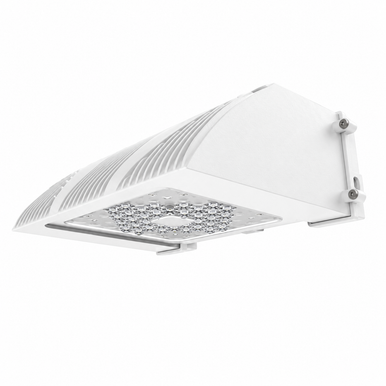 TRV Traverse building mount wallpack