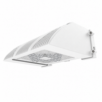 TRV Traverse building mount wallpack