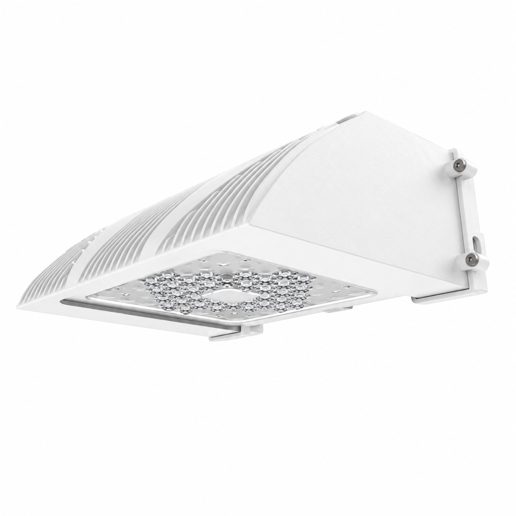TRV Traverse building mount wallpack