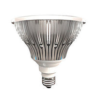 16 Watt High Output Amber LED PAR38 With Medium Base - FWC Wildlife Lighting Certified