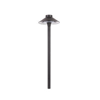 Smart Color Changing LED Tiki Path Light in Aluminum Black