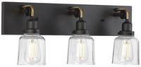 Rushton Collection Three-Light Graphite Clear Glass Farmhouse Bath Vanity Light - Damp Location Listed