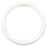 32 Watt Fluorescent T9 Circline 12 In. Light Bulb with 4 Pin (G10Q) Base, 6500K - FC12T9/D/RS